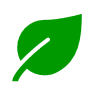 An image of a leaf.