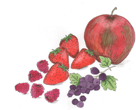 A selection of fruit including grapes, strawberries, raspberries and an apple