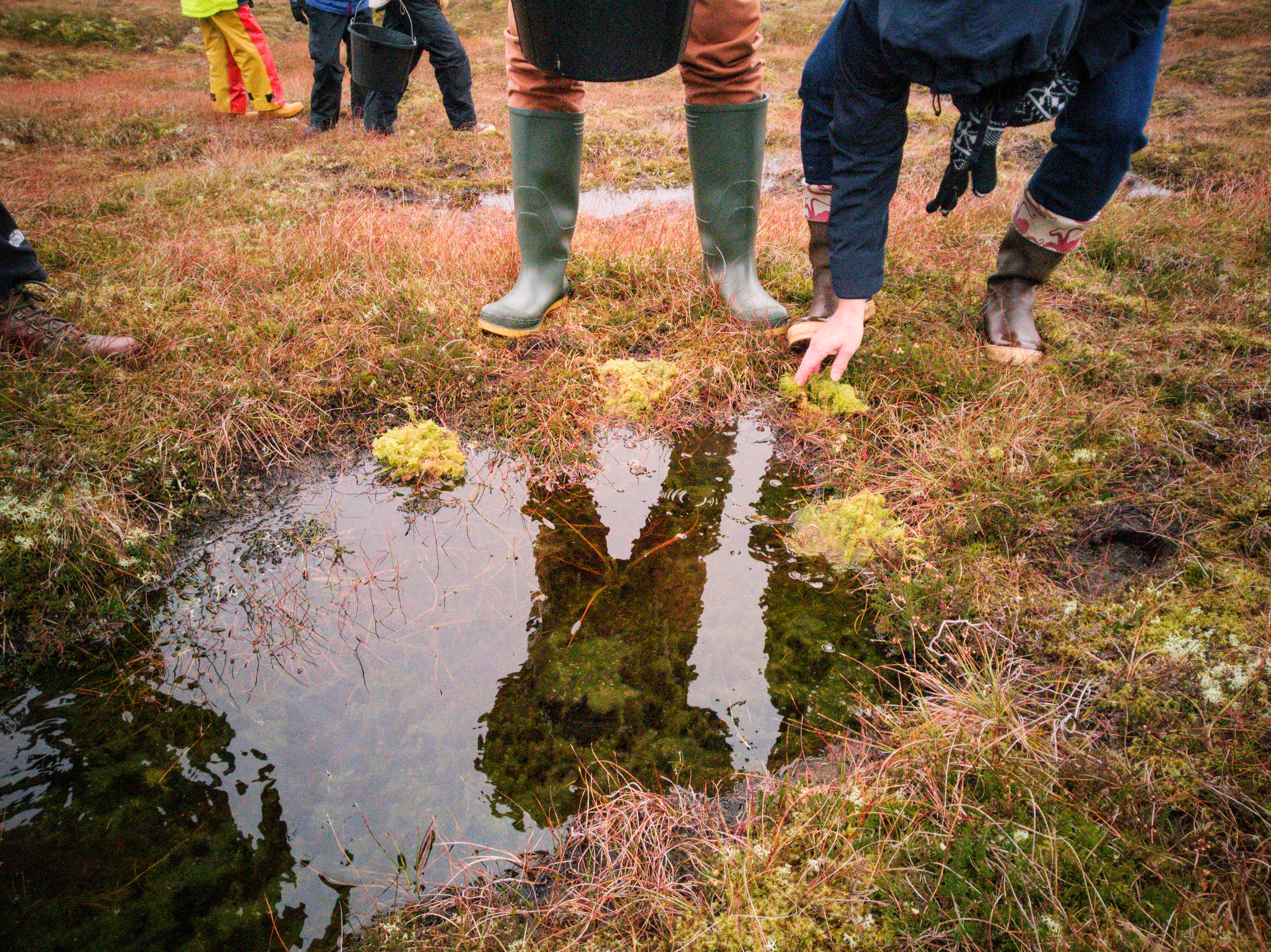 An image of people standing and shown from the waist down in waterproofs and welly boots, looking at the moss on an area of peatland. Some are carrying buckets and one is crouching to touch the moss.