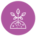 A Purple circle with a with outline of a plant in soil.