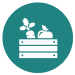 A teal circle with a white outline of a veg box inside.