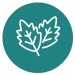 A teal circle with the outline of two white overlapping leaves inside.