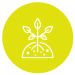 A Yellow circle with a with outline of a plant in soil.