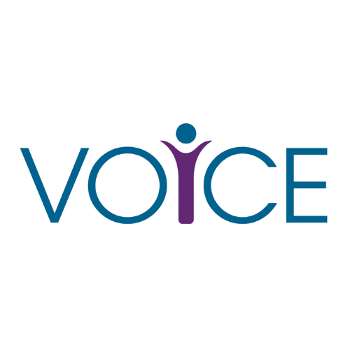 VOiCE Logo