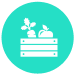 A turquoise circle with a white outline of a veg box inside.