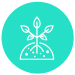 A turquoise circle with a with outline of a plant in soil.