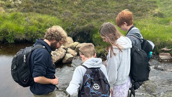 A ranger and three young people examining a burn in a moorland landscape