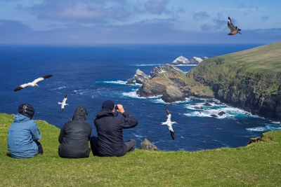 Three people sat overlooking cliffs, the sea and sea stacks, with birds flying through the scene.